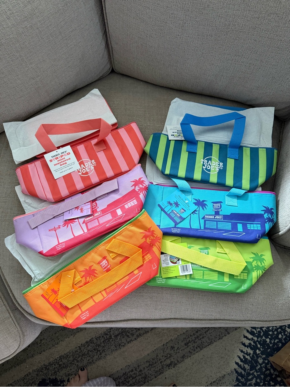 Trader Joe’s set of 6 mini insulated totes